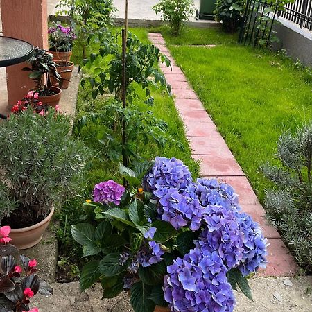 Apartment Aleksandra Бар Екстериор снимка