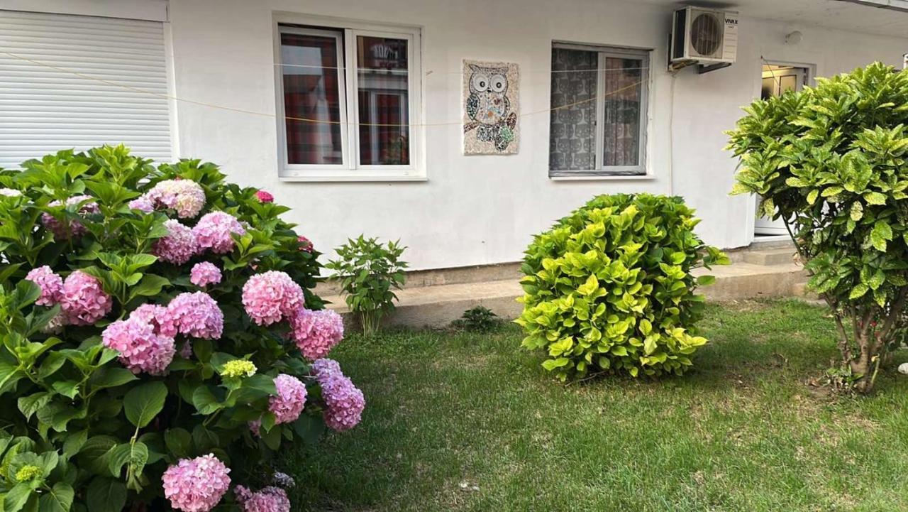 Apartment Aleksandra Бар Екстериор снимка